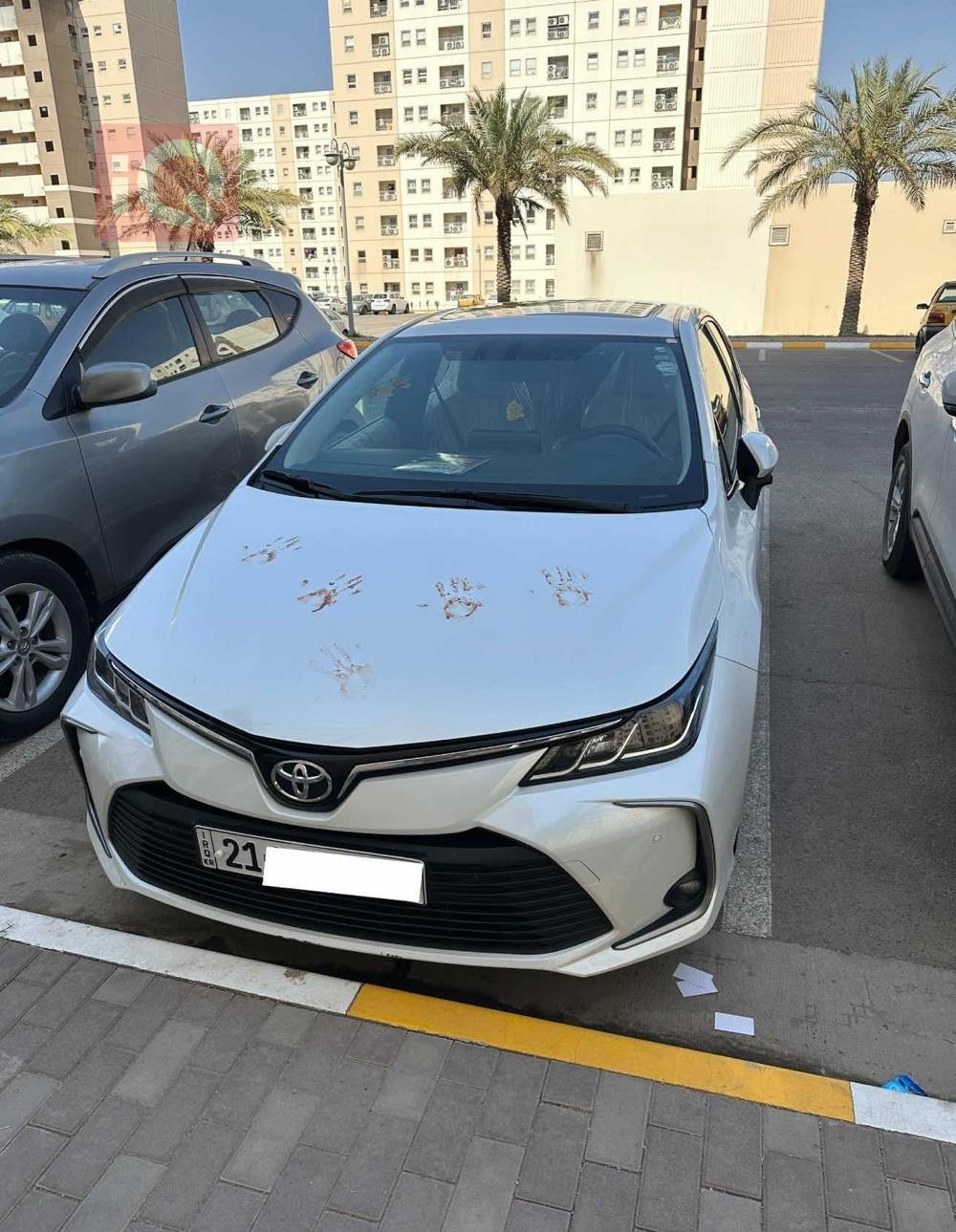 تويوتا كورولا